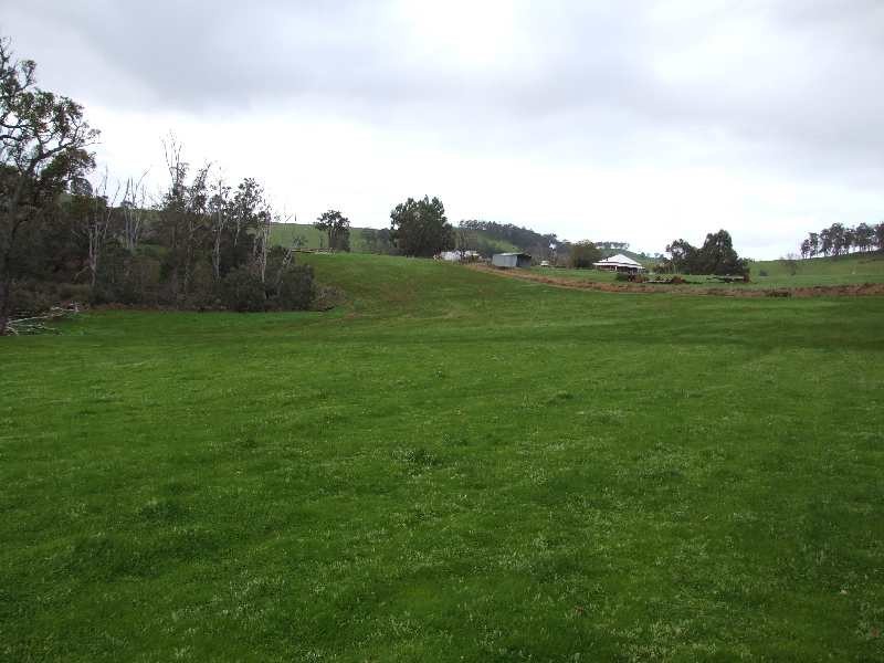 443 Thomson Brook Road, Thomson Brook WA 6239