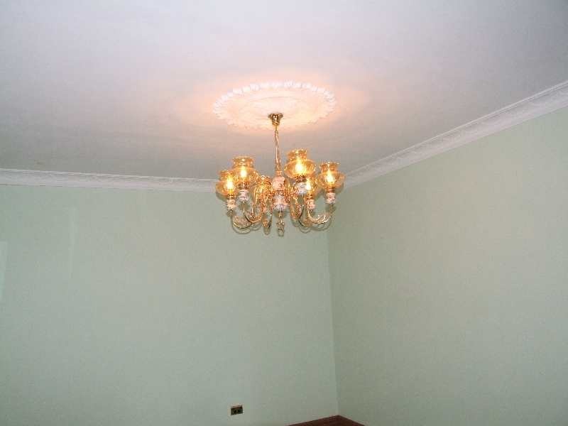 443 Thomson Brook Road, Thomson Brook WA 6239