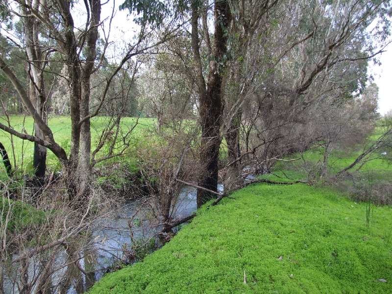 307 Irishtown Rd, Donnybrook WA 6239