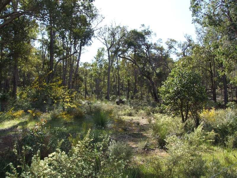 9 Lomandra Rd, Argyle WA 6239