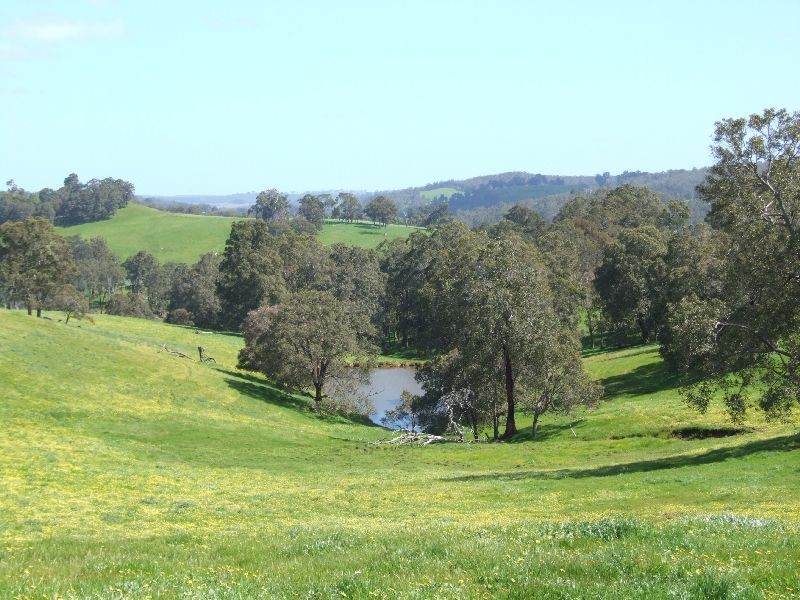 59 Little Rd, Thomson Brook WA 6239