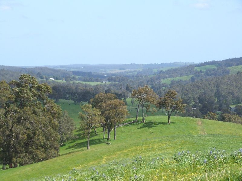 59 Little Rd, Thomson Brook WA 6239