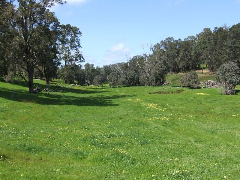 59 Little Rd, Thomson Brook WA 6239