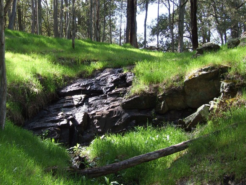 59 Little Rd, Thomson Brook WA 6239