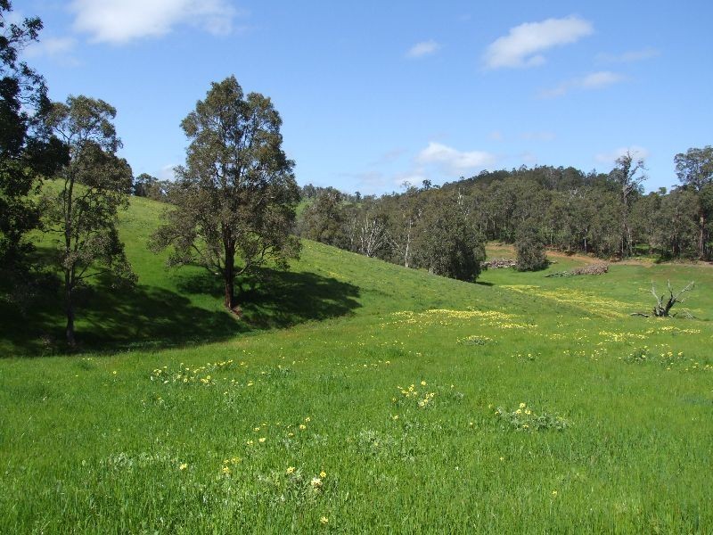 59 Little Rd, Thomson Brook WA 6239