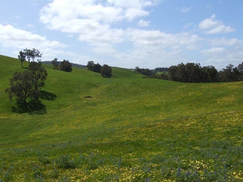 59 Little Rd, Thomson Brook WA 6239