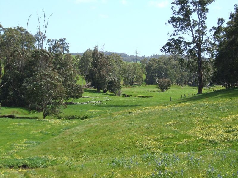 59 Little Rd, Thomson Brook WA 6239