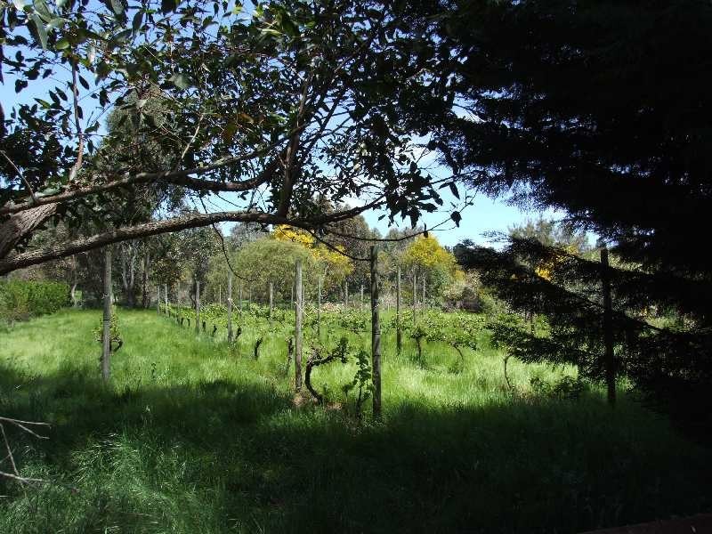 21 Fowler Street, Yabberup WA 6239