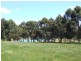 1322 Donnybrook-Boyup Brook Rd, Lowden WA 6240