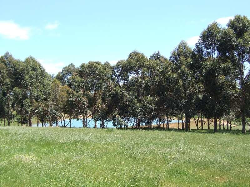 1322 Donnybrook-Boyup Brook Rd, Lowden WA 6240