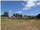 1322 Donnybrook-Boyup Brook Rd, Lowden WA 6240
