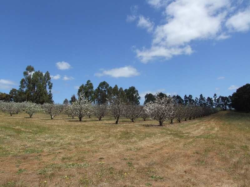 1322 Donnybrook-Boyup Brook Rd, Lowden WA 6240