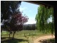 1322 Donnybrook-Boyup Brook Rd, Lowden WA 6240