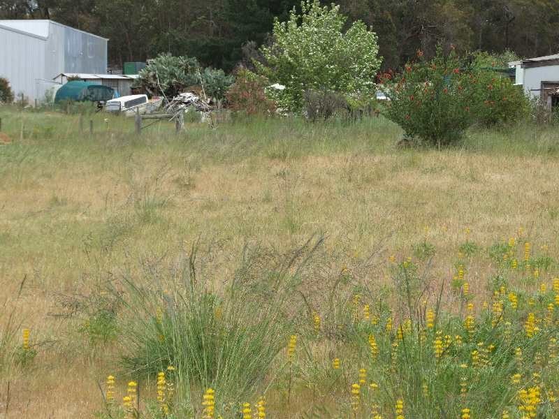 Lot 65, 115 South Western Highway, Kirup WA 6251