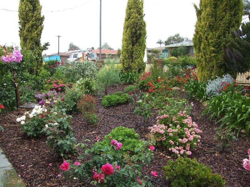 6 Torrisi, Donnybrook WA 6239