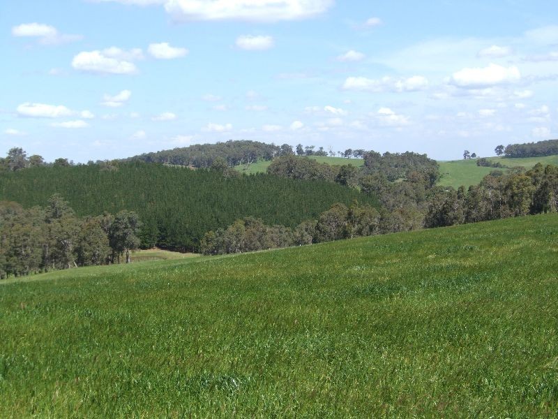 Lot 1234 Valentine Rd, Donnybrook WA 6239