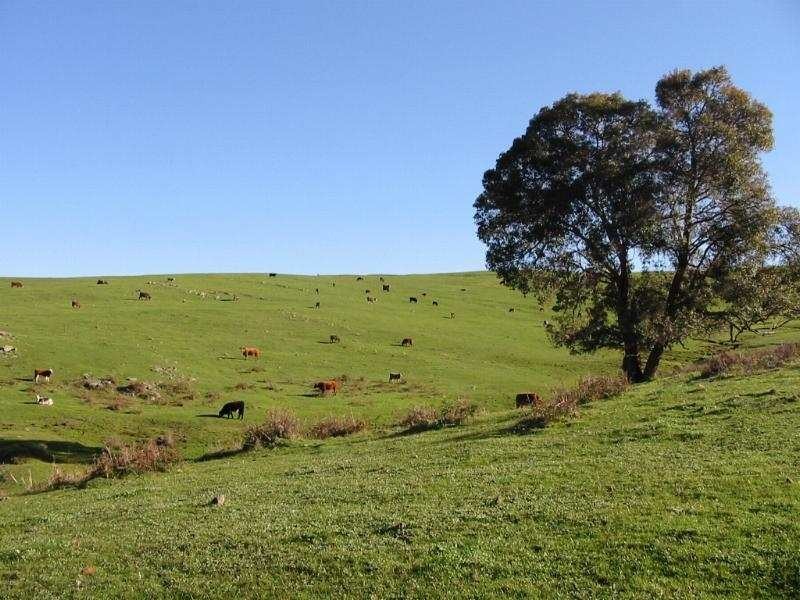 Lot 9,  Nioka Drive, Donnybrook WA 6239