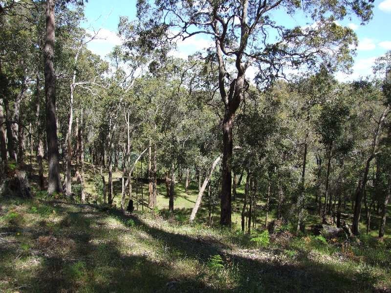 Lot 12,  Woodland Rise, Donnybrook WA 6239