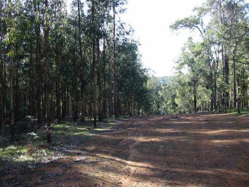 Lot 12,  Woodland Rise, Donnybrook WA 6239