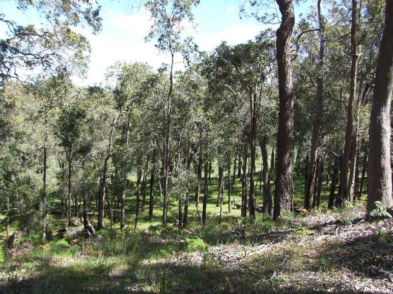 Lot 12,  Woodland Rise, Donnybrook WA 6239
