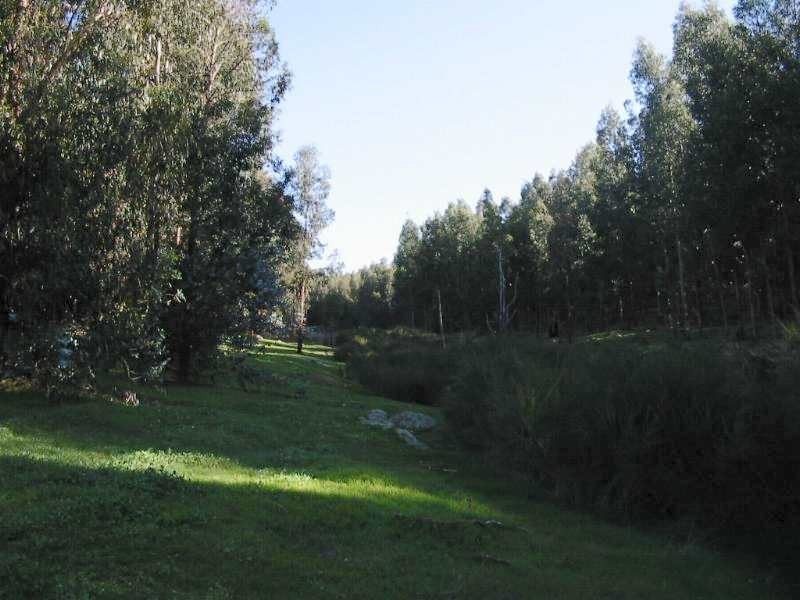 Lot 11,  Woodland Rise, Donnybrook WA 6239