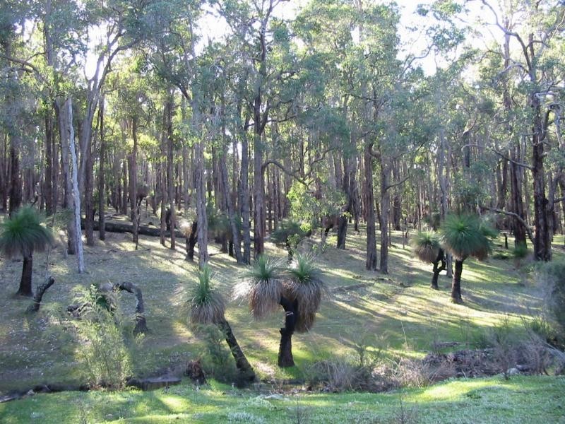 Lot 13,  Woodland Rise, Donnybrook WA 6239