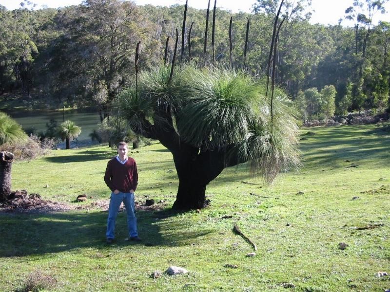 Lot 13,  Woodland Rise, Donnybrook WA 6239