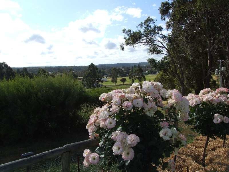 3 Palmer, Donnybrook WA 6239