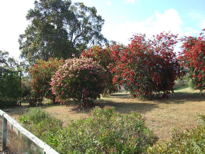 3 Palmer, Donnybrook WA 6239