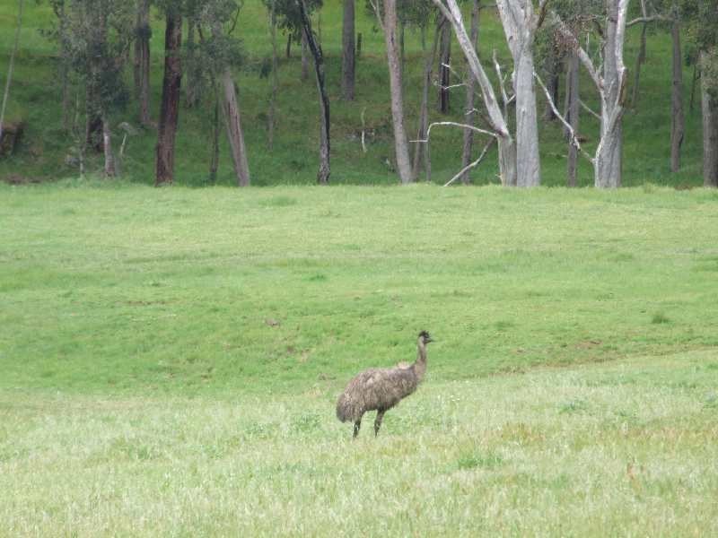 Lot 74,  Upper Capel Road, Donnybrook WA 6239