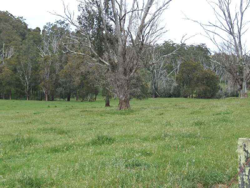 Lot 74,  Upper Capel Road, Donnybrook WA 6239