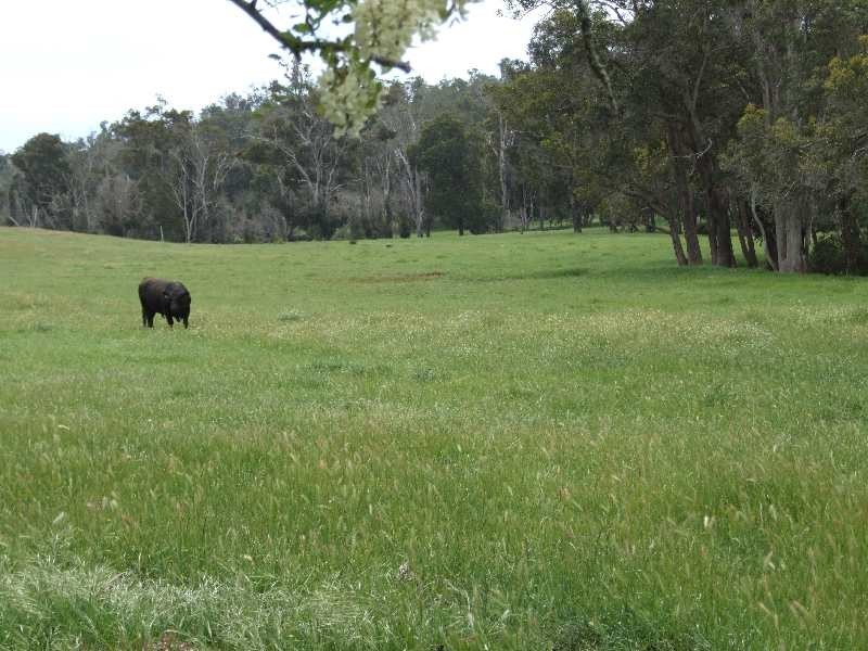 Lot 74,  Upper Capel Road, Donnybrook WA 6239