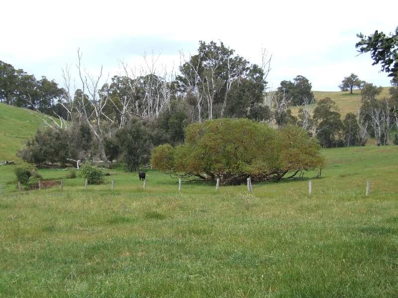Lot 74,  Upper Capel Road, Donnybrook WA 6239
