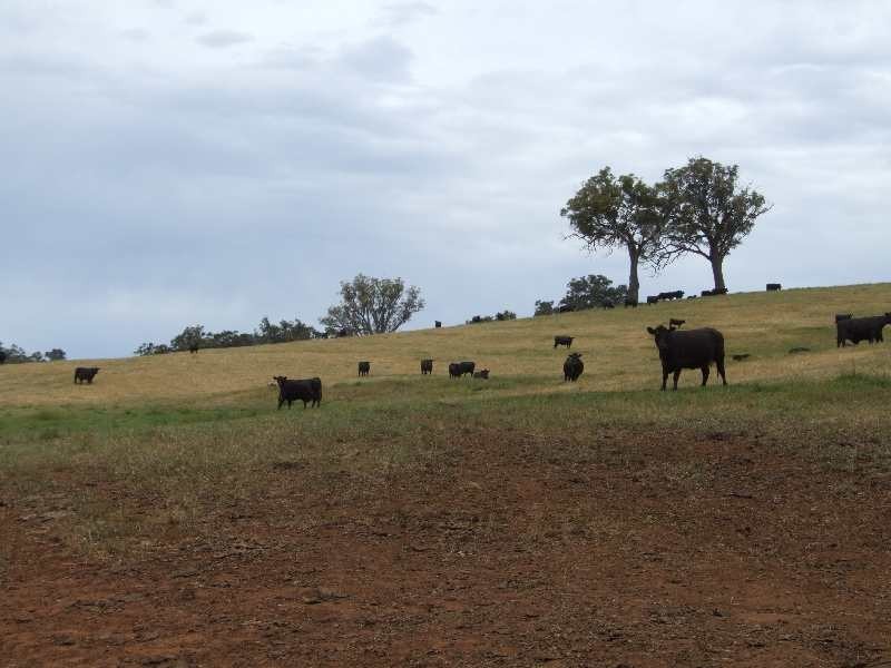 Lot 74,  Upper Capel Road, Donnybrook WA 6239
