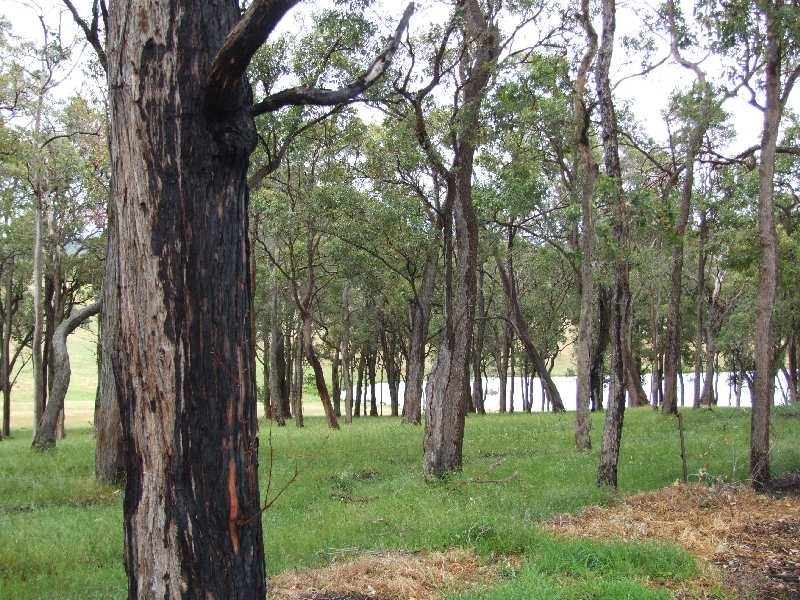 Lot 4, 320 Brookhampton Road, Brookhampton WA 6239