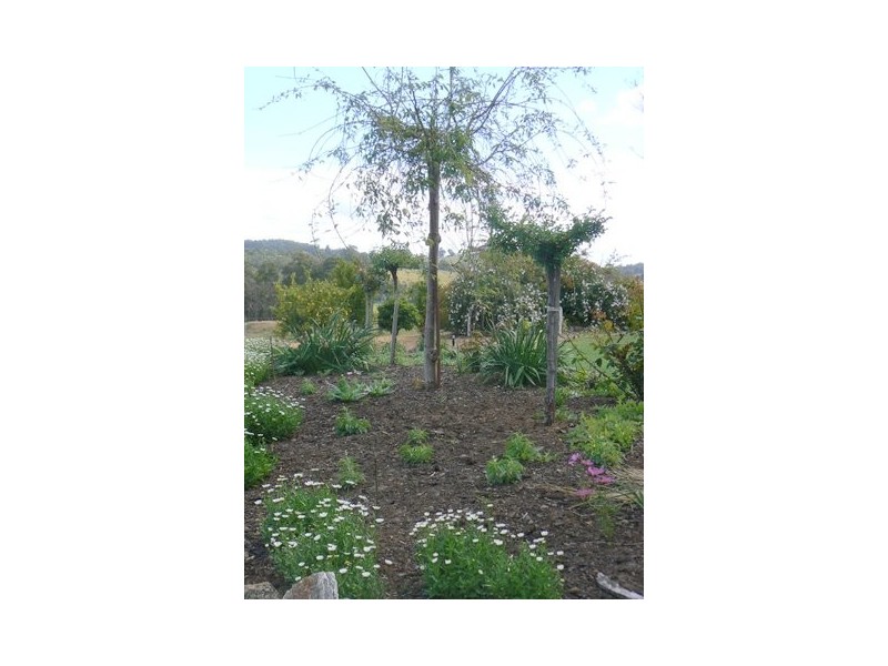 Lot 4, 320 Brookhampton Road, Brookhampton WA 6239