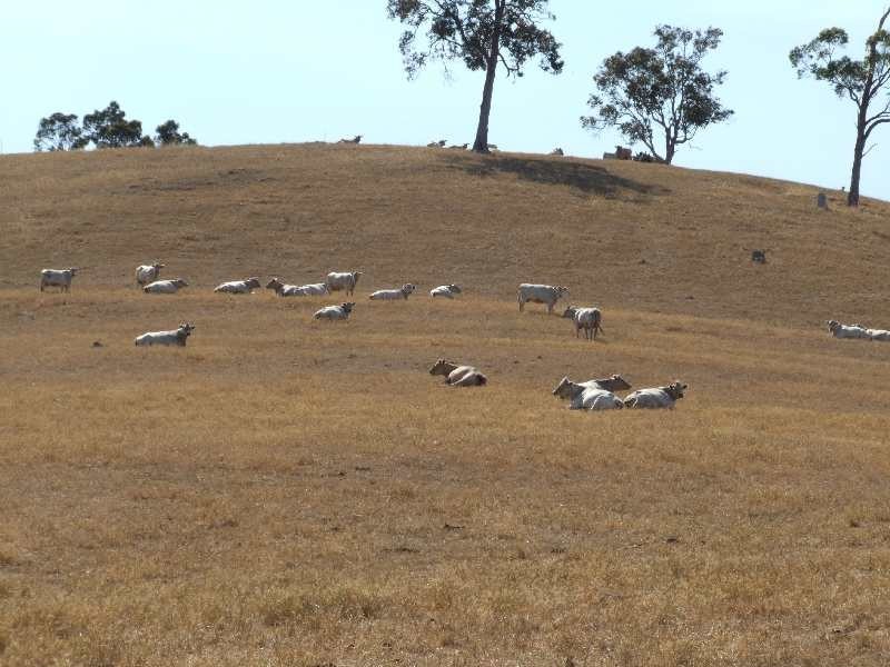 Lot 276,  Wildmere, Brookhampton WA 6239