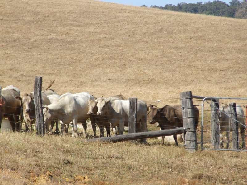 Lot 276,  Wildmere, Brookhampton WA 6239