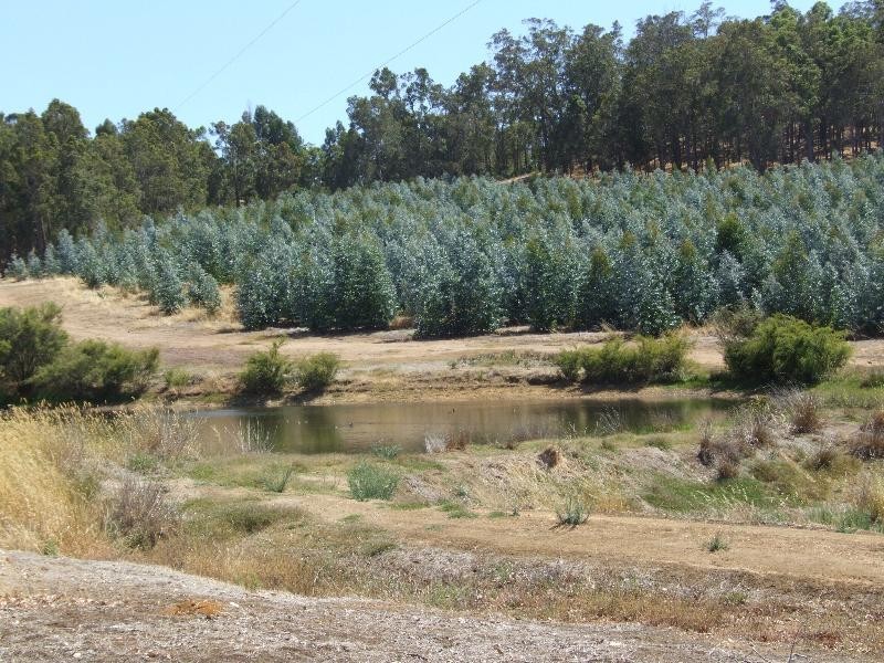 Lot 17,  Ferguson Road, Lowden WA 6240