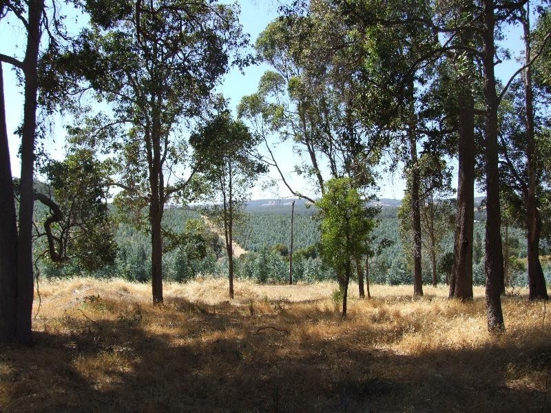 Lot 17,  Ferguson Road, Lowden WA 6240