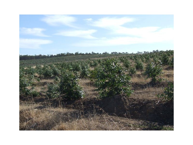 Lot 17,  Ferguson Road, Lowden WA 6240