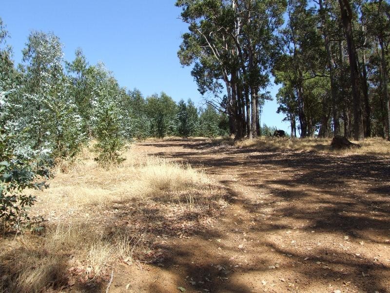 Lot 17,  Ferguson Road, Lowden WA 6240