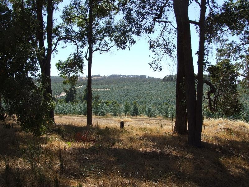 Lot 17,  Ferguson Road, Lowden WA 6240