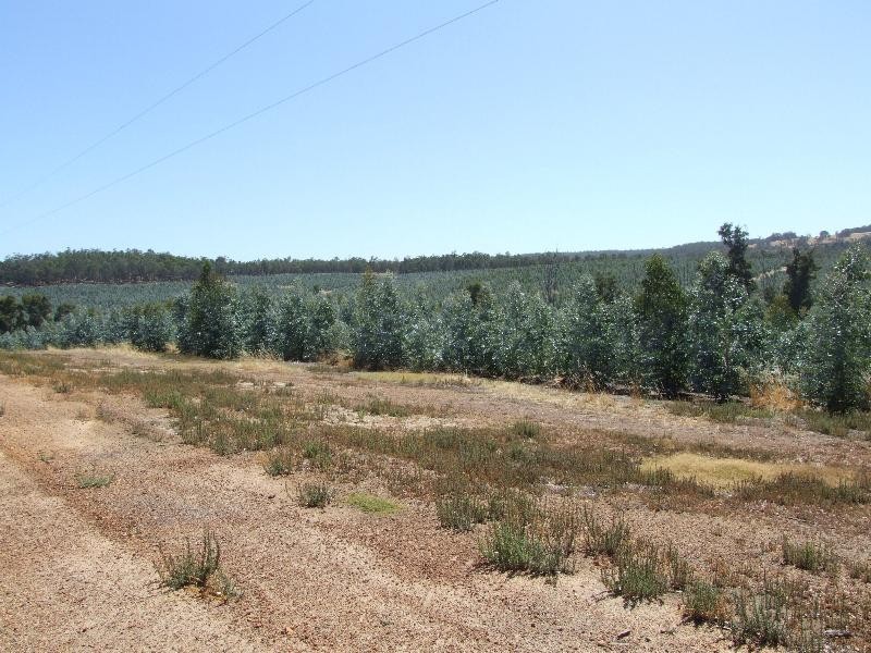 Lot 17,  Ferguson Road, Lowden WA 6240