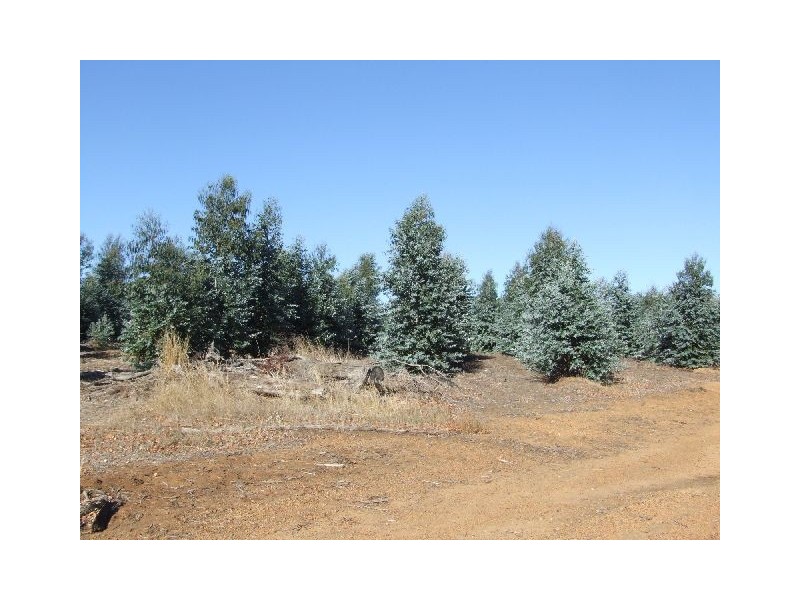Lot 4223,  Ferguson Road, Lowden WA 6240