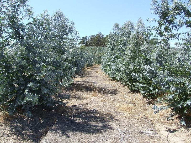 Lot 4223,  Ferguson Road, Lowden WA 6240