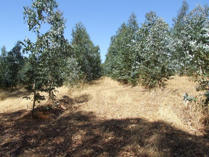 Lot 4223,  Ferguson Road, Lowden WA 6240