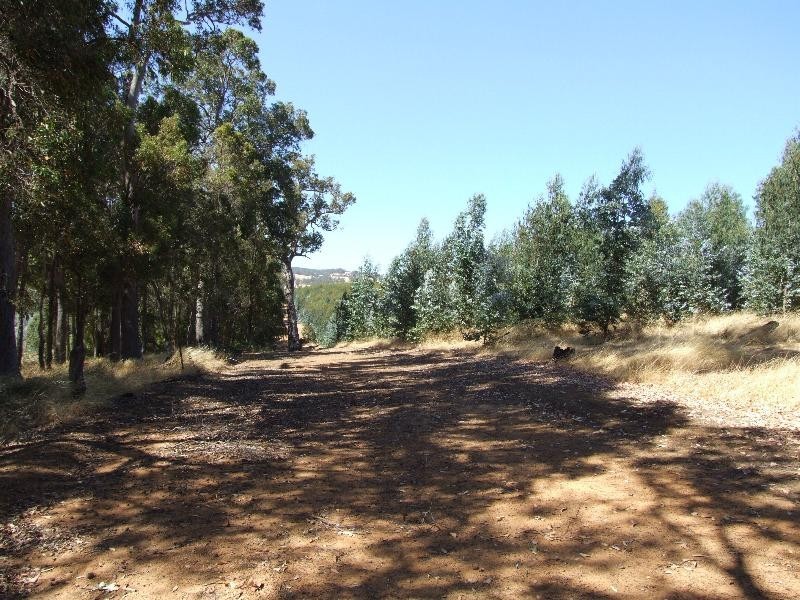 Lot 4223,  Ferguson Road, Lowden WA 6240