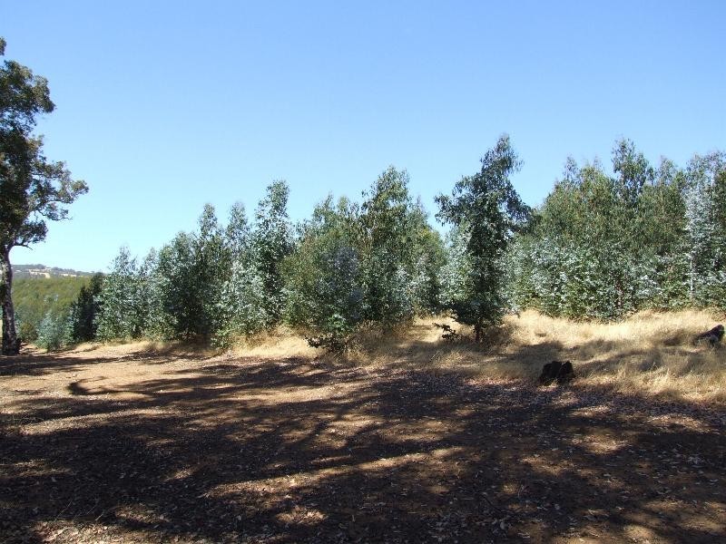 Lot 4223,  Ferguson Road, Lowden WA 6240