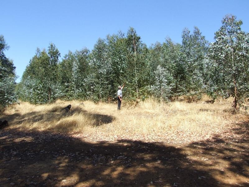 Lot 4223,  Ferguson Road, Lowden WA 6240